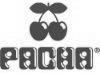 Pacha